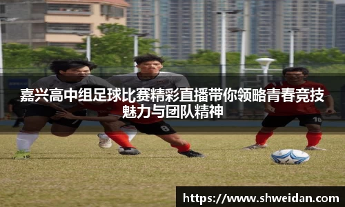先锋娱乐